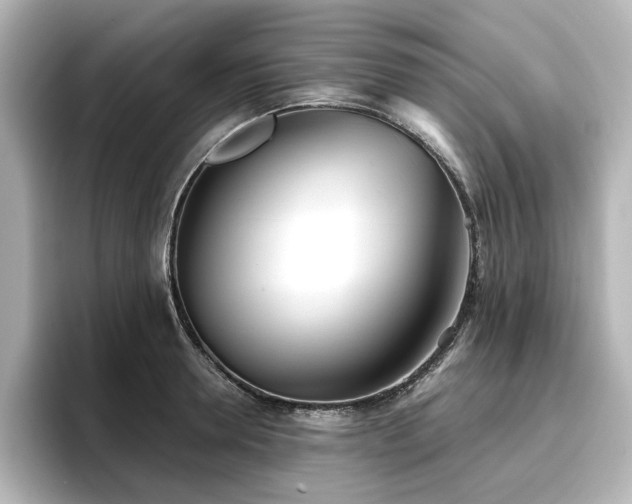X0000096720946200802051440