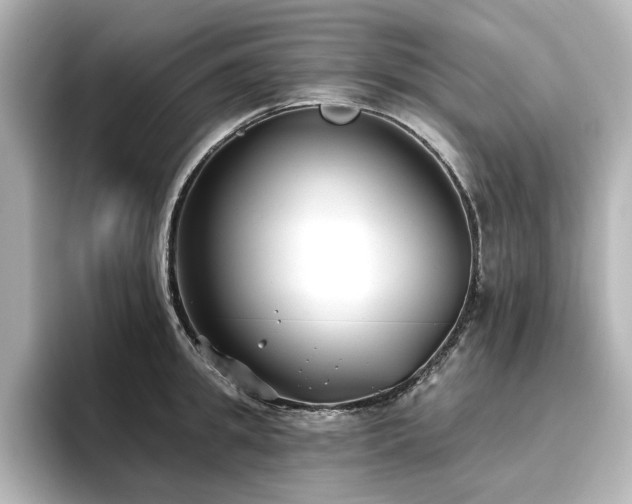 X0000096720949200802051440