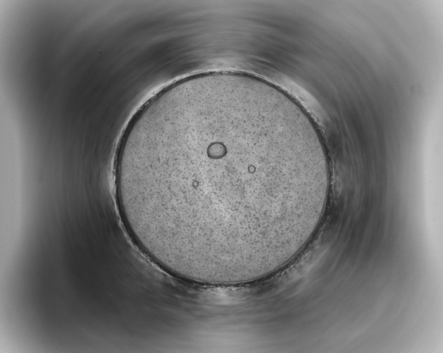 X0000096720950200802051440