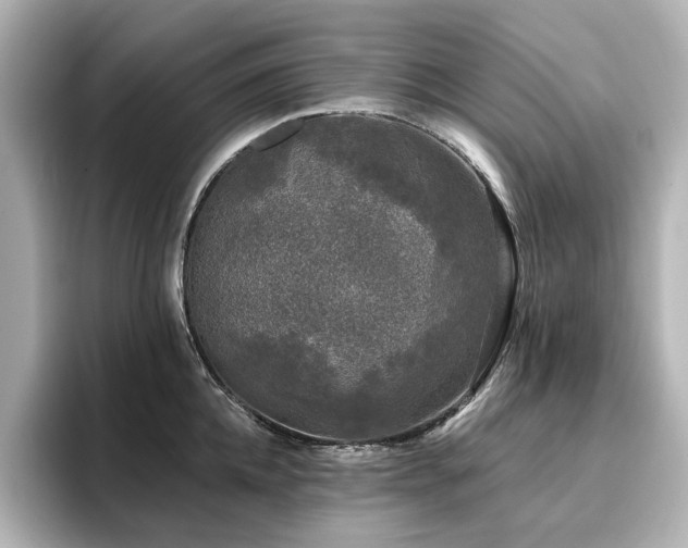 X0000096720952200802051440