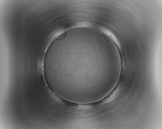 X0000096720954200802051440