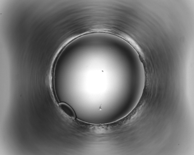 X0000096720955200802051440