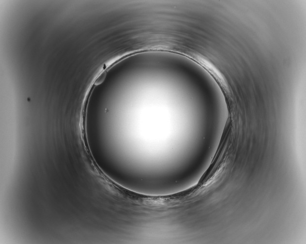 X0000096720956200802051440