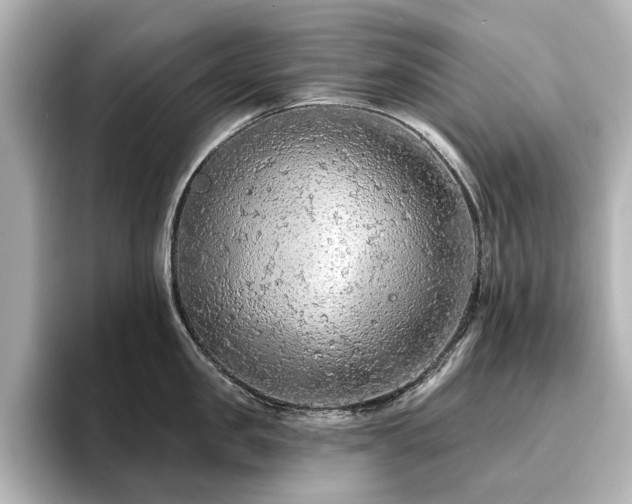 X0000096720957200802051440