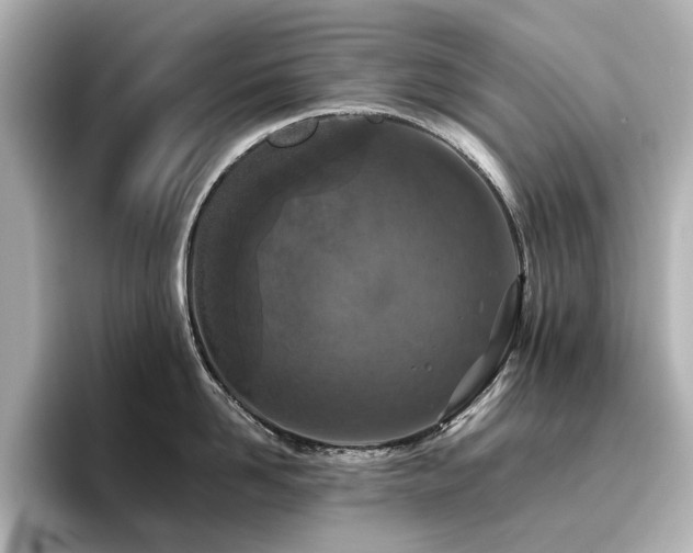 X0000096720958200802051440