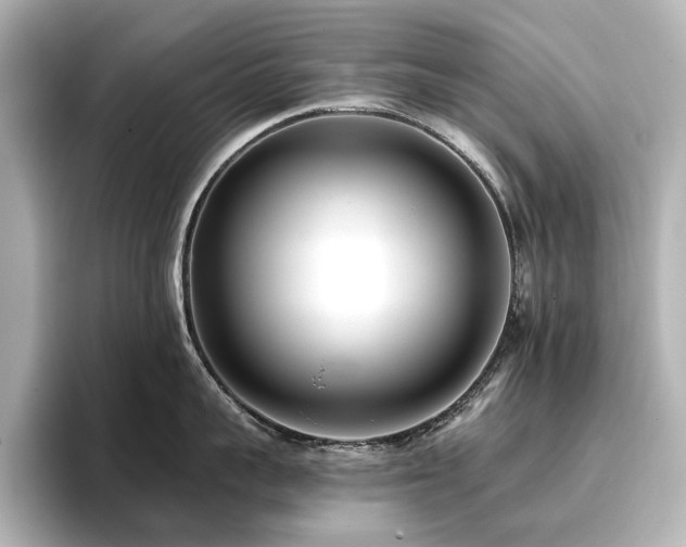 X0000096720959200802051440