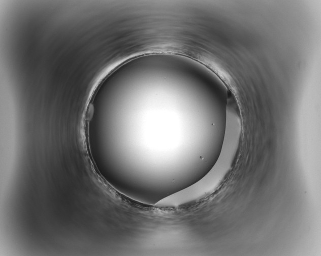 X0000096720960200802051440