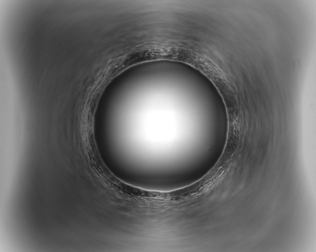 X0000096720961200802051439