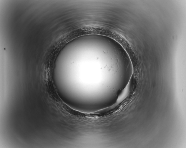 X0000096720965200802051439