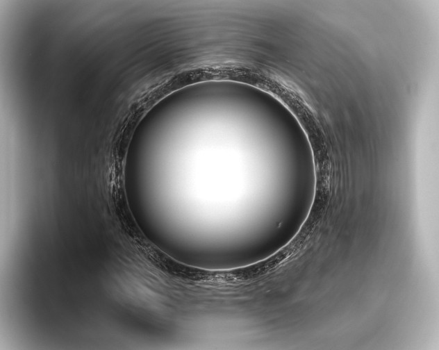 X0000096720966200802051439