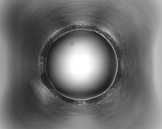 X0000096720968200802051439