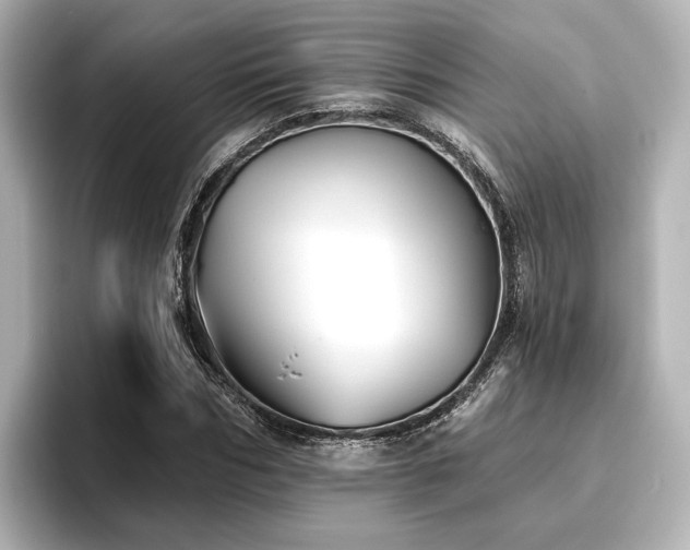 X0000096720970200802051439