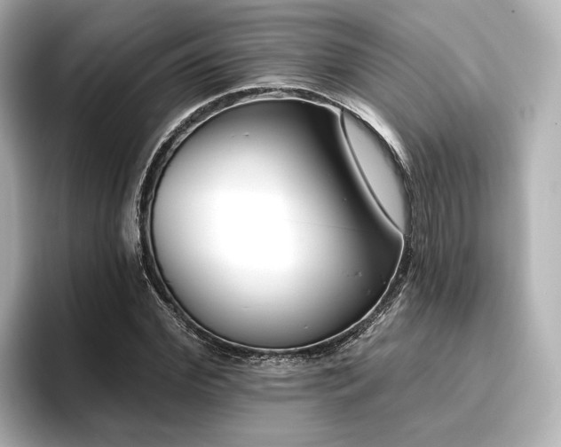 X0000096720972200802051439