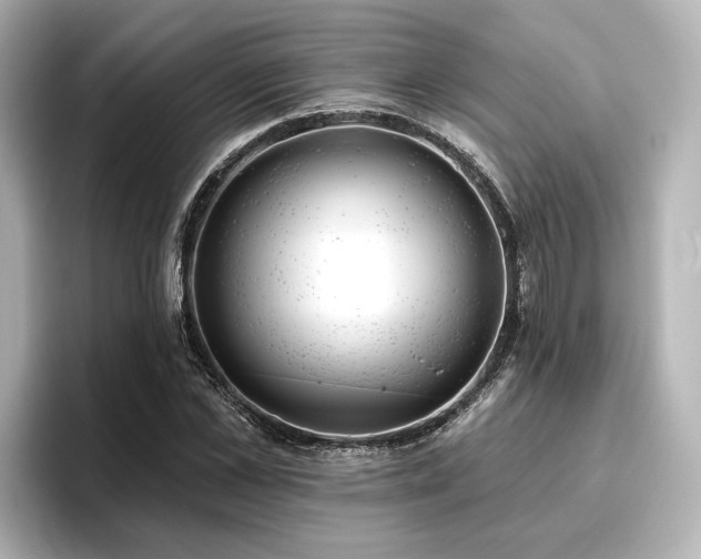 X0000096720973200802051439
