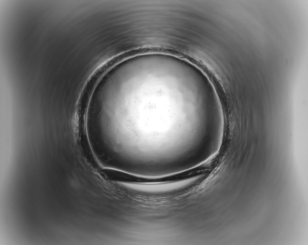 X0000096720975200802051439