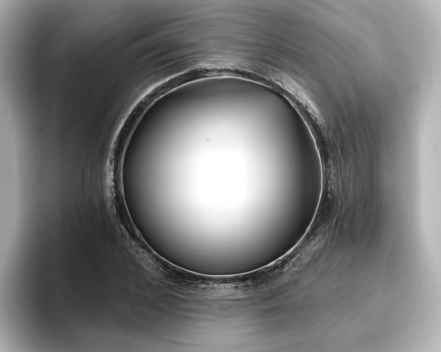 X0000096720976200802051439