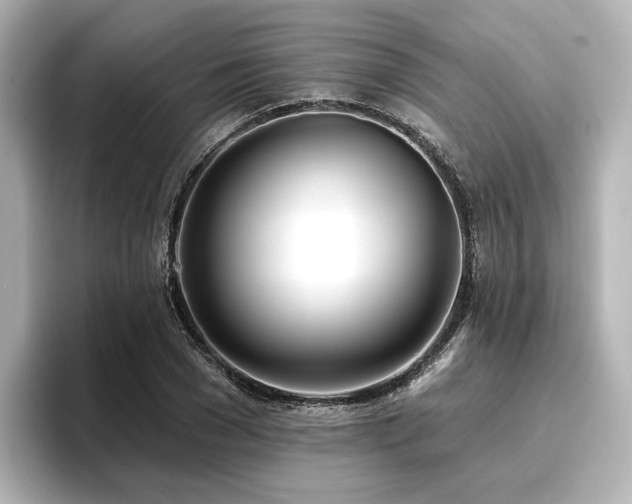 X0000096720977200802051439