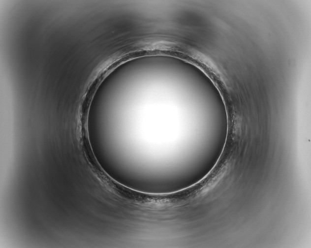 X0000096720978200802051439