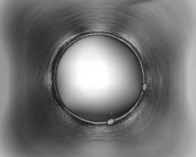 X0000096720979200802051439