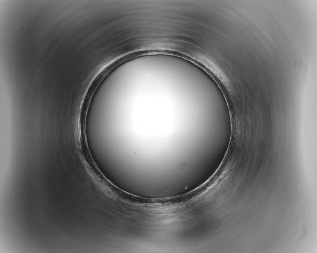 X0000096720980200802051439