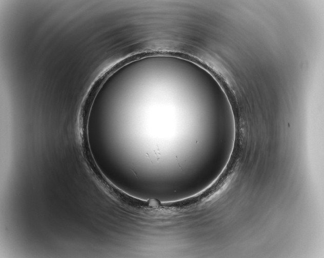 X0000096720981200802051439