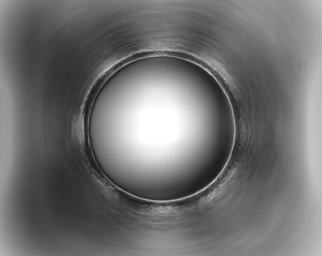 X0000096720982200802051439