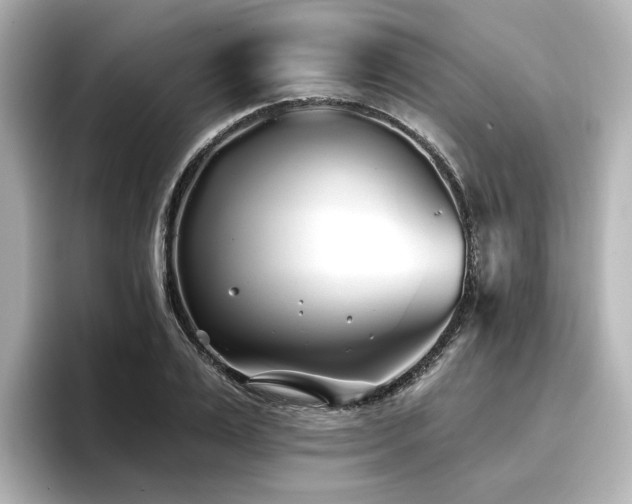 X0000096720983200802051439