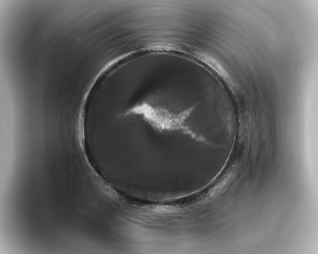 X0000096720984200802051439