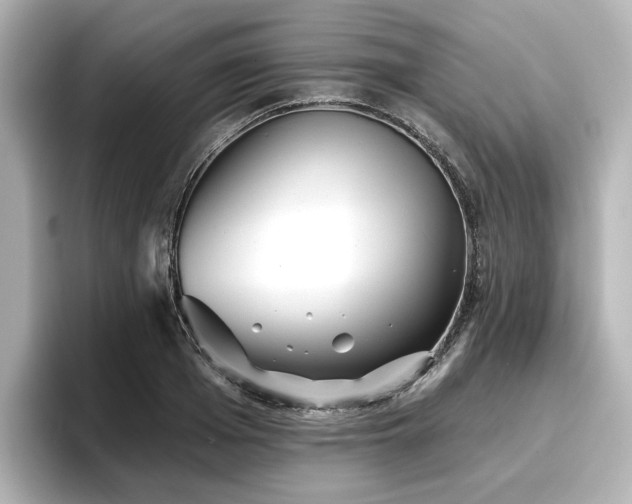X0000096720985200802051439