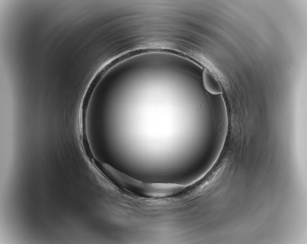 X0000096720988200802051439