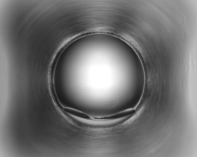 X0000096720989200802051439