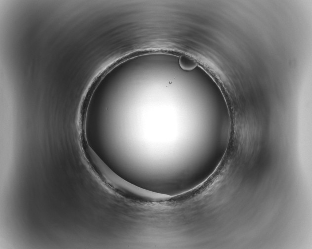 X0000096720990200802051439