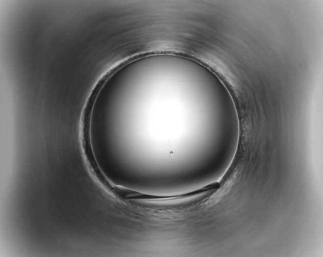 X0000096720991200802051439