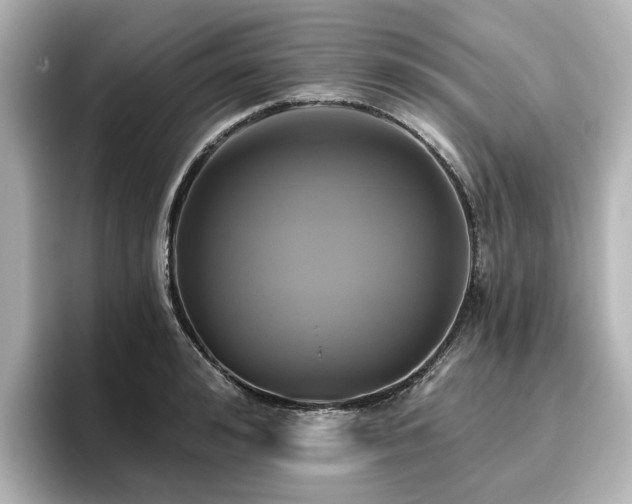 X0000096720992200802051439