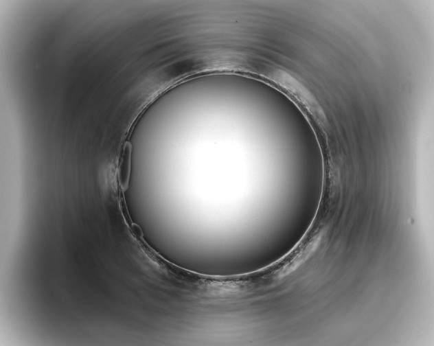 X0000096720993200802051439