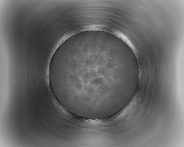 X0000096720994200802051439