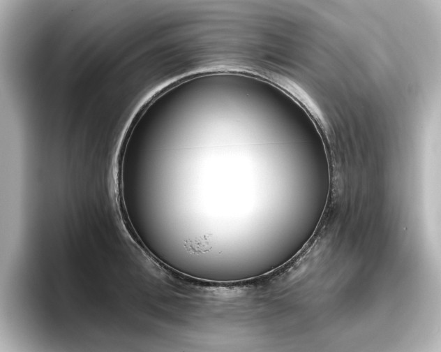 X0000096720996200802051439