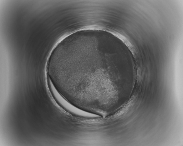 X0000096720998200802051439