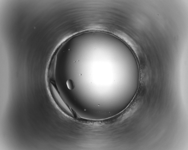 X0000096720999200802051439
