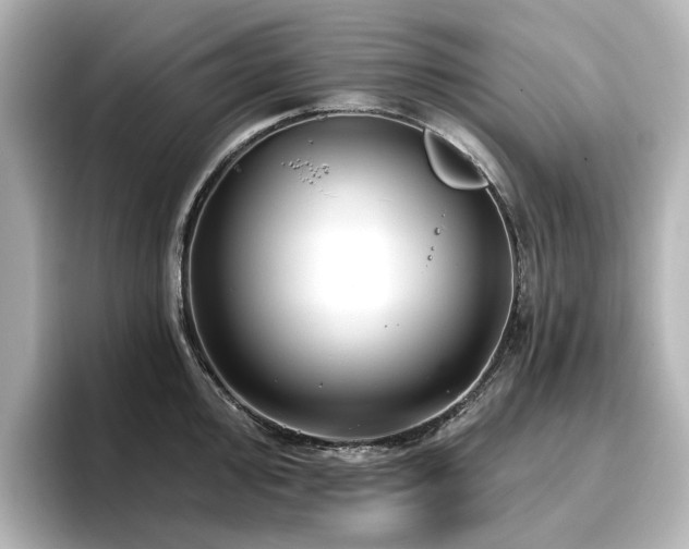 X0000096721000200802051439