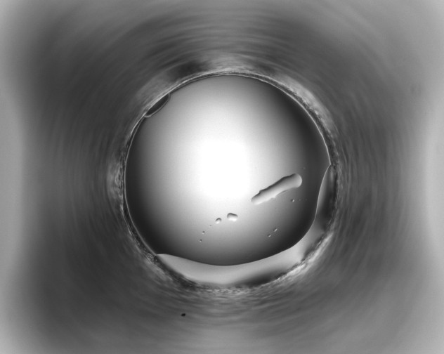 X0000096721001200802051439