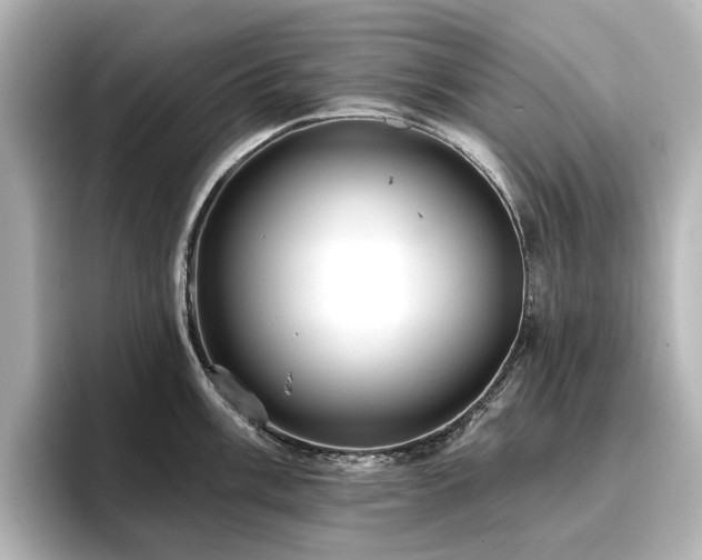 X0000096721003200802051439