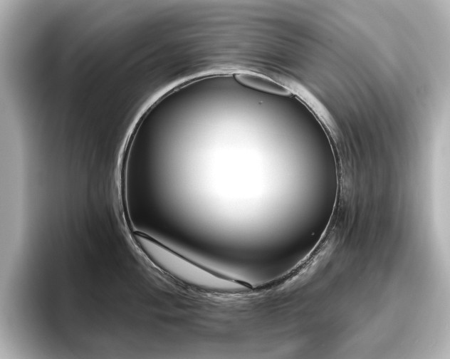 X0000096721004200802051439