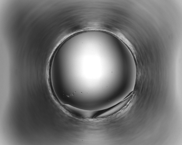 X0000096721005200802051439