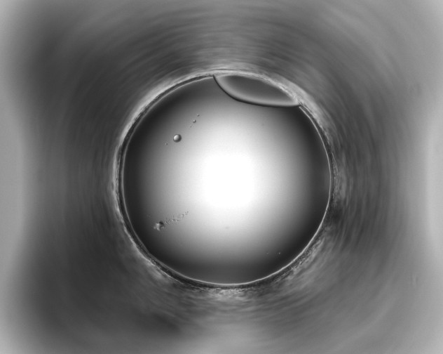 X0000096721006200802051439