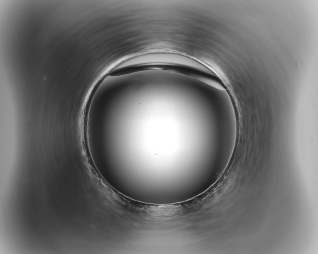 X0000096721008200802051439