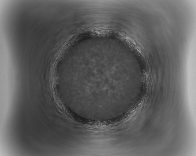 X0000096721009200802051438