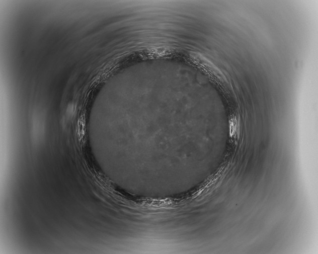X0000096721011200802051438