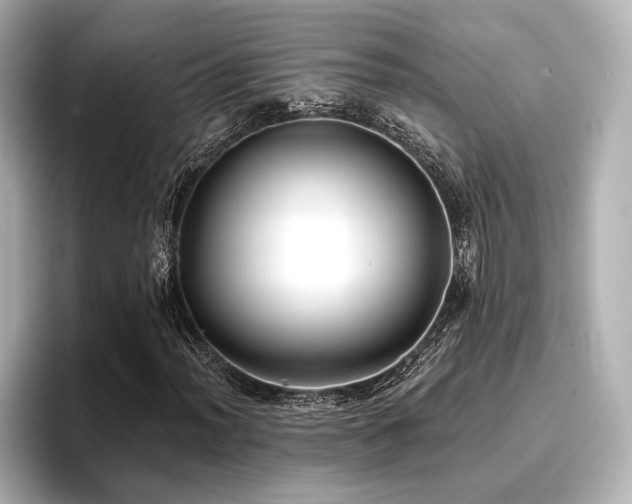 X0000096721012200802051438
