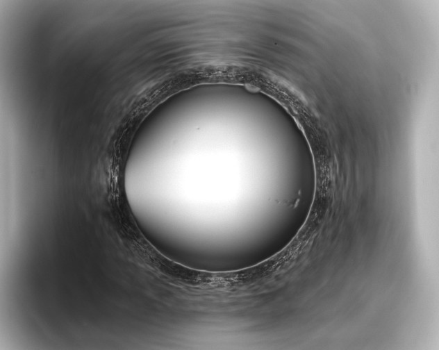 X0000096721013200802051438
